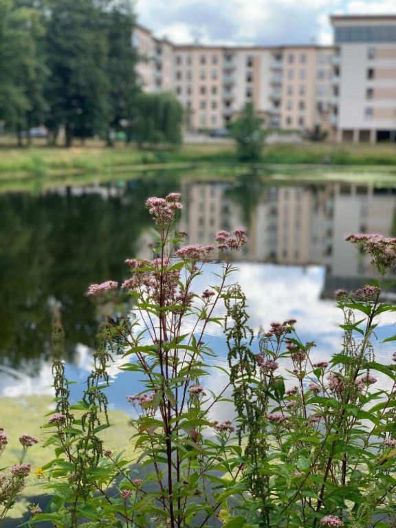 Europa22 Apartament "Sen Jak W Pieciogwiazdkowym Hotelu" - Centrum Miasta Tomaszów Mazowiecki Esterno foto